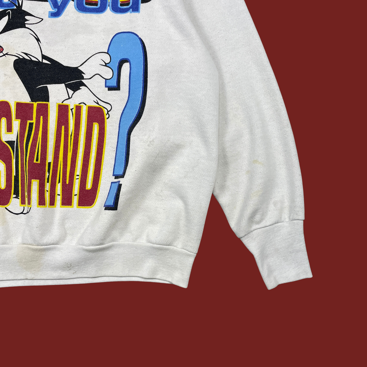 (XL) 90s Looney Tunes Tweety & Sylvester Sweatshirt