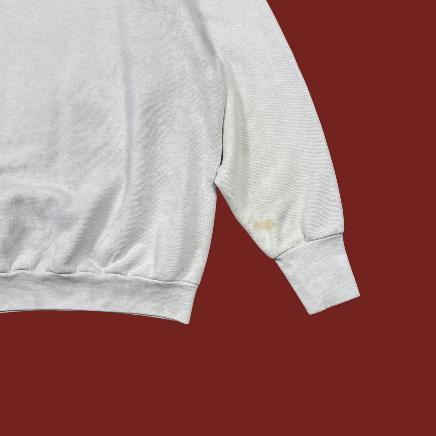 (XL) 90s Looney Tunes Tweety & Sylvester Sweatshirt