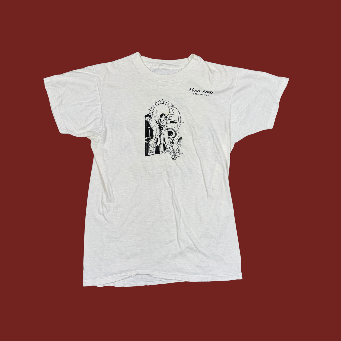 (M) 70s Rare Penn Hills In The Poconos Resort Tee