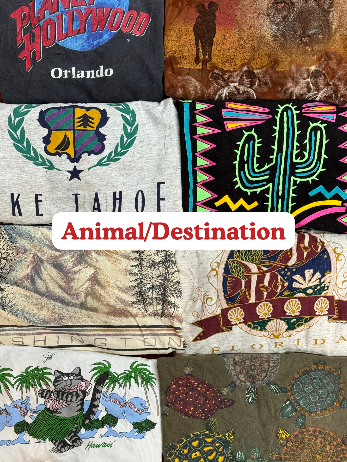 Wholesale Tees & Sweatshirts Box (50 lbs)