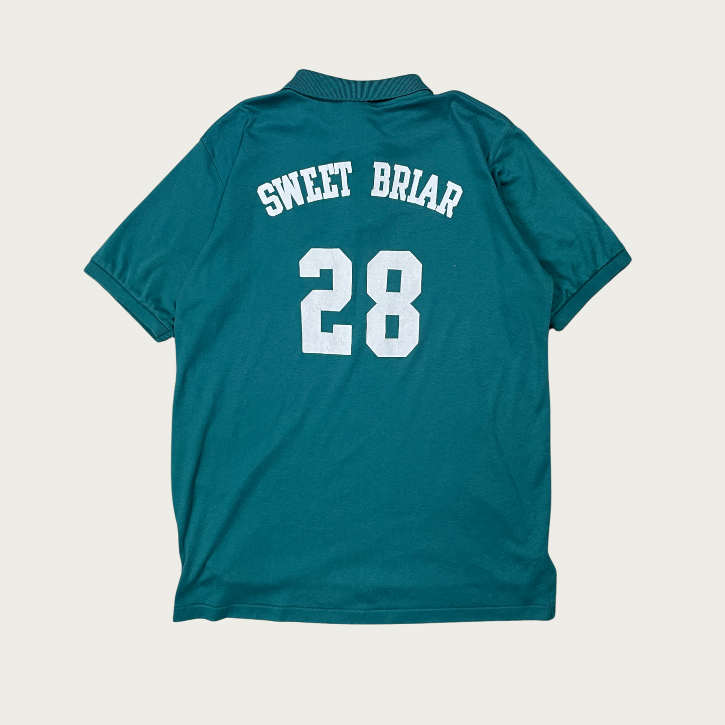 (XL) Sweet Briar #28 Polo