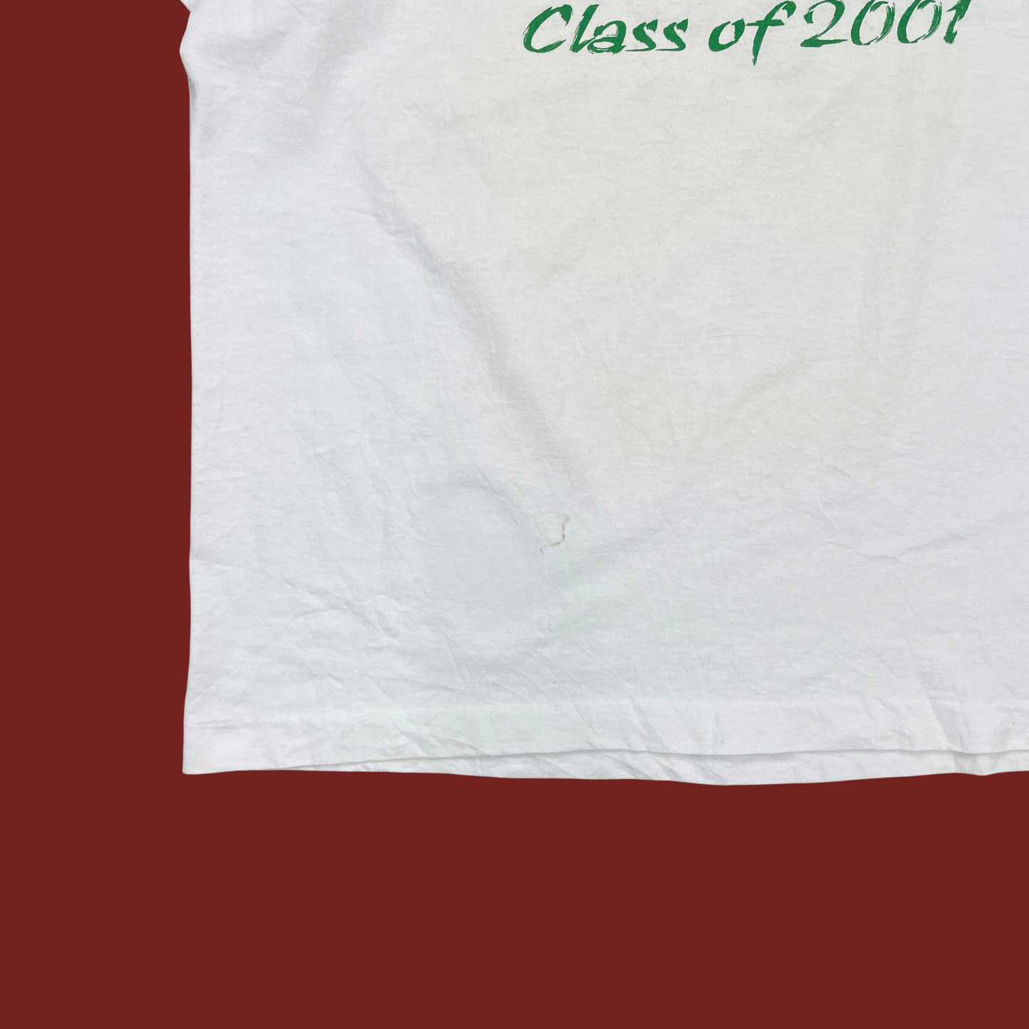 (L) Class of 2001 Tee
