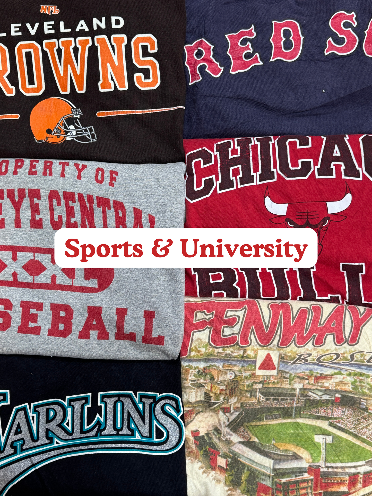 Wholesale Tees & Sweatshirts Box (50 lbs)