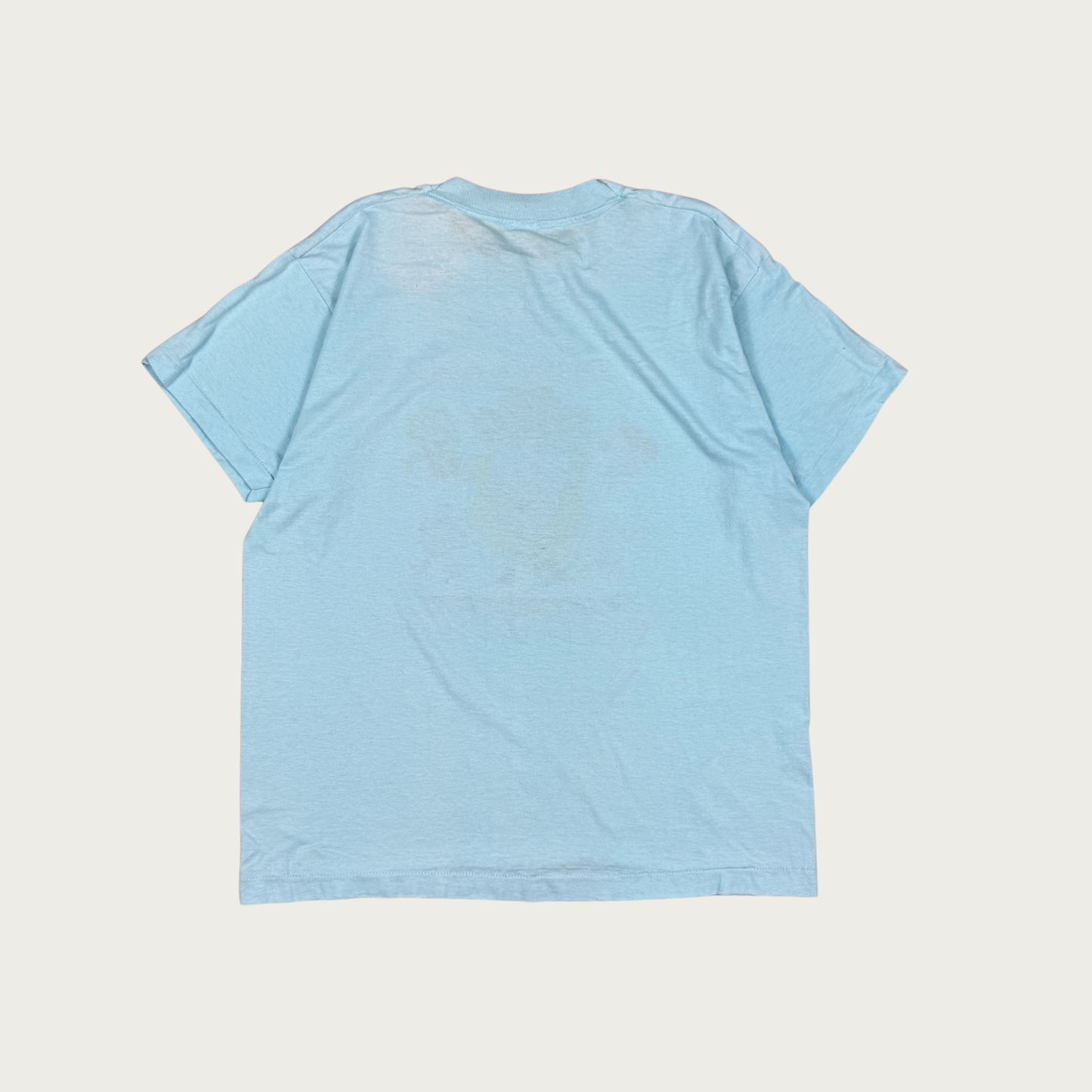 (XL) 70s/80s "All My Rowdy Raisins Are Coming Over Tonight" Tee