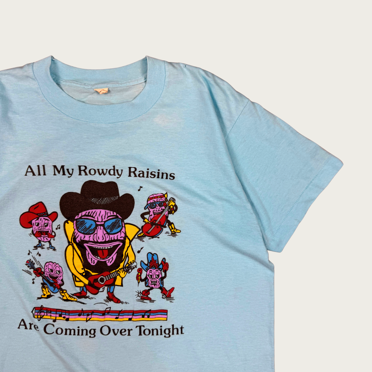 (XL) 70s/80s "All My Rowdy Raisins Are Coming Over Tonight" Tee