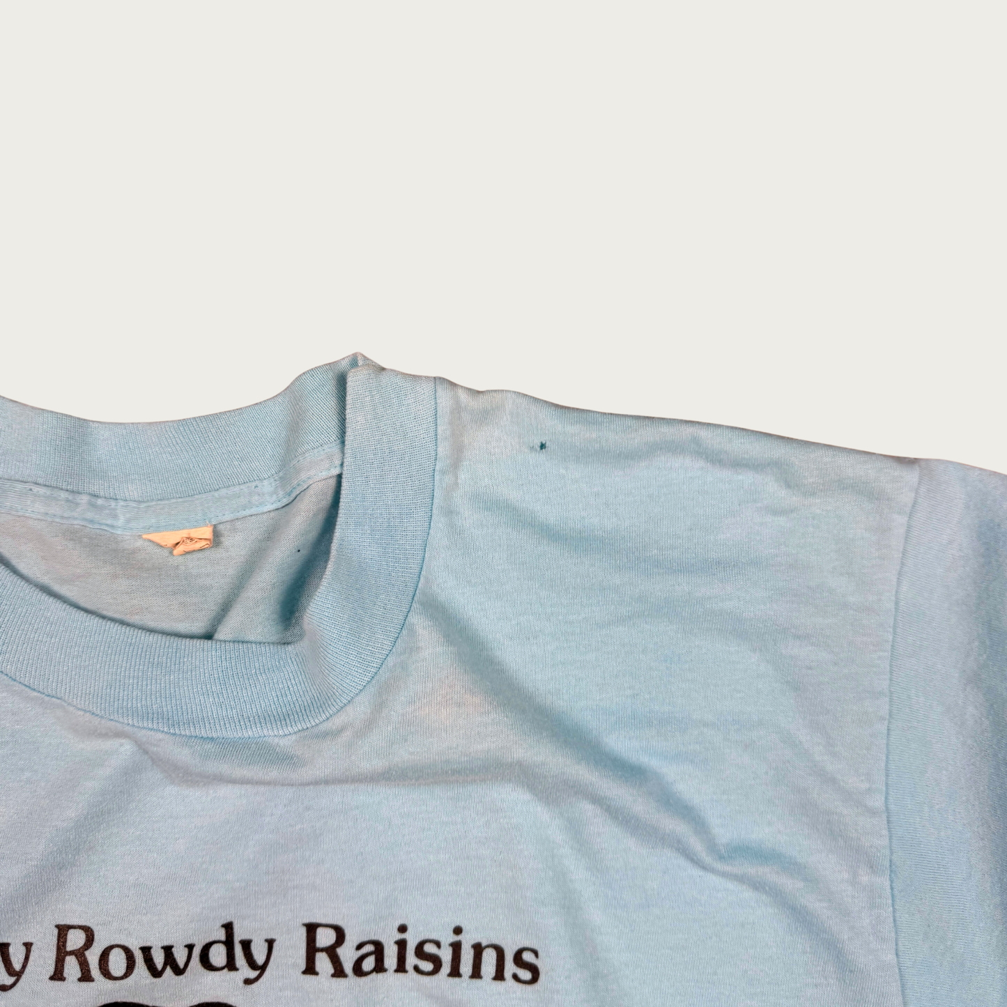 (XL) 70s/80s "All My Rowdy Raisins Are Coming Over Tonight" Tee