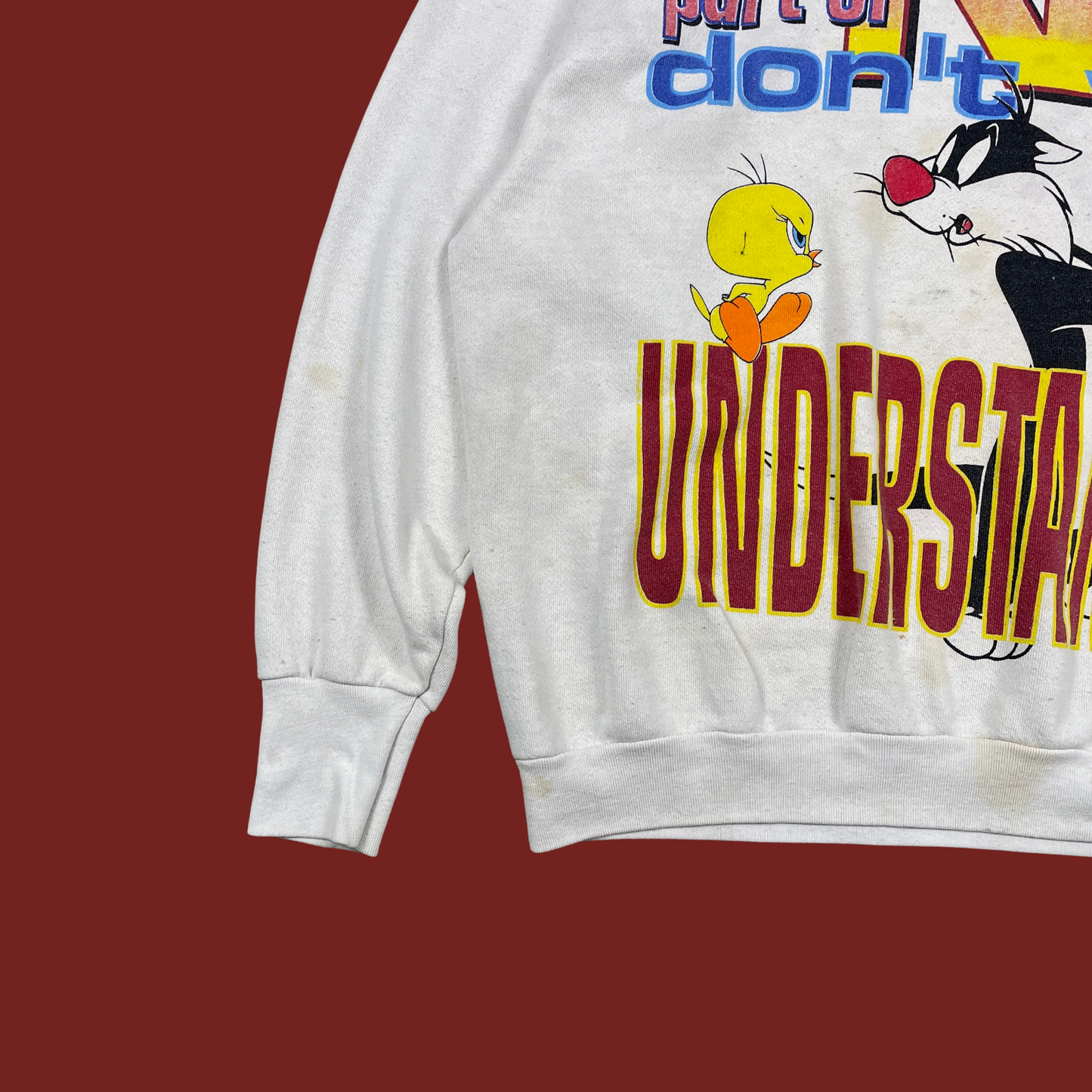 (XL) 90s Looney Tunes Tweety & Sylvester Sweatshirt