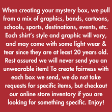 Load image into Gallery viewer, Vintage Tees Mystery Box

