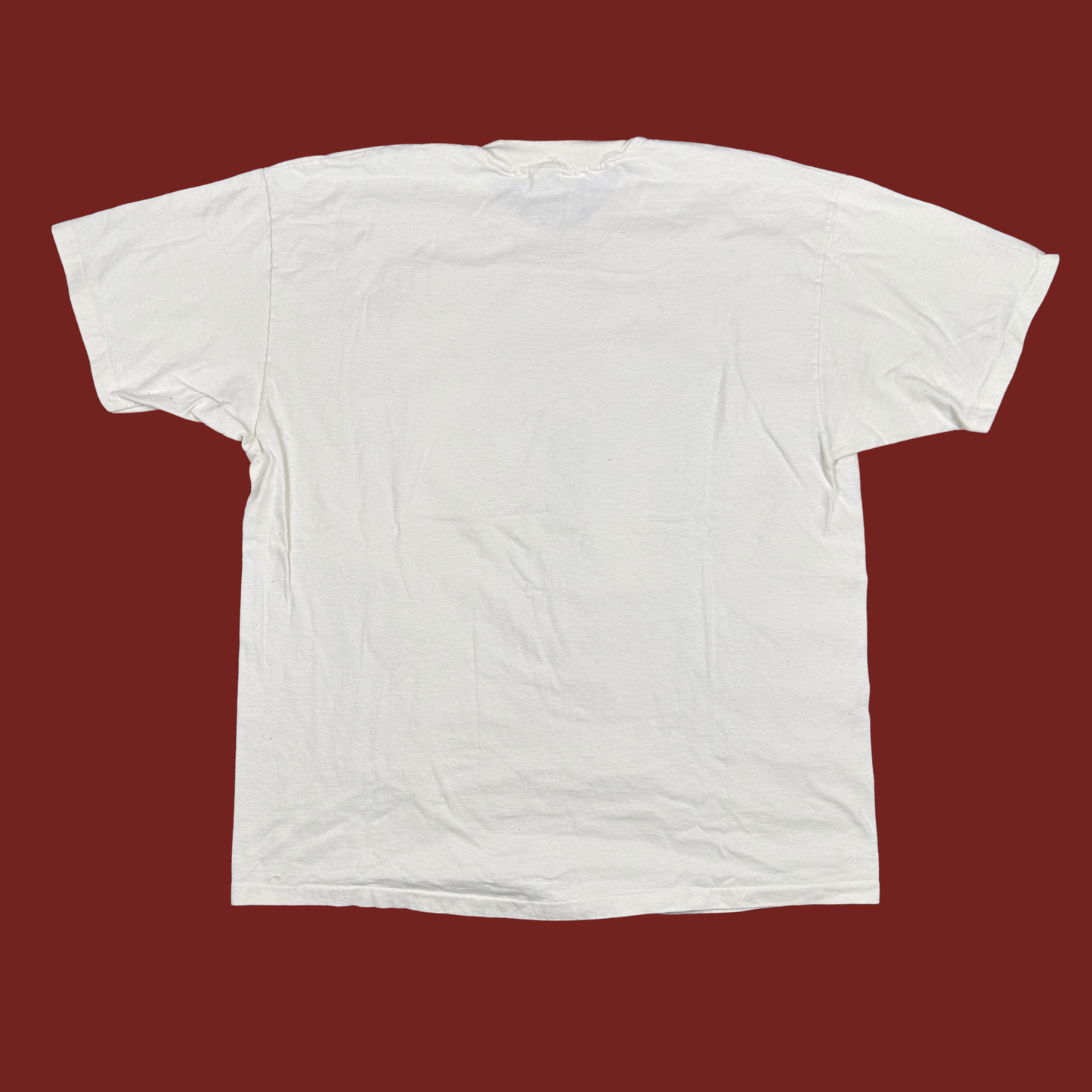 (XL/2XL) 80s/90s Museo Posada Aguascalientes Tee