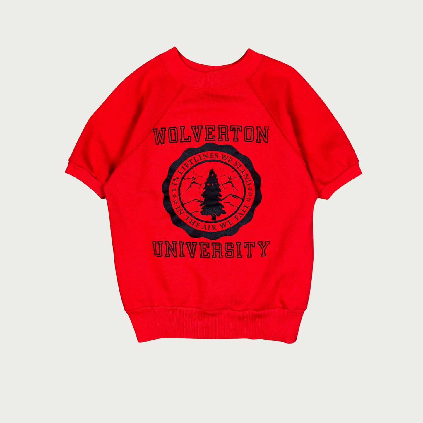 (XS/S) 70s/80s Wolverton University Short Sleeve Sweatshirt