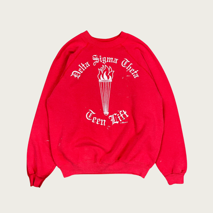 (L) Delta Sigma Theta Sweatshirt