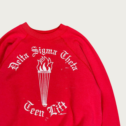 (L) Delta Sigma Theta Sweatshirt