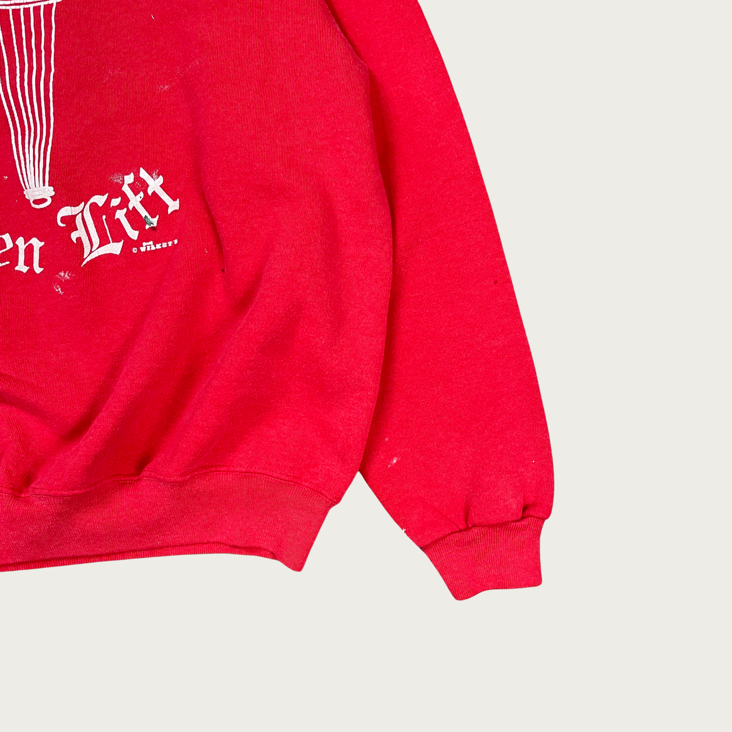 (L) Delta Sigma Theta Sweatshirt