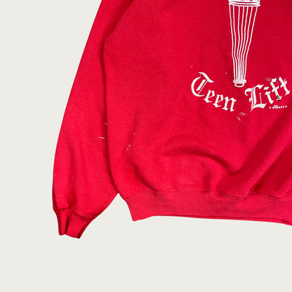 (L) Delta Sigma Theta Sweatshirt