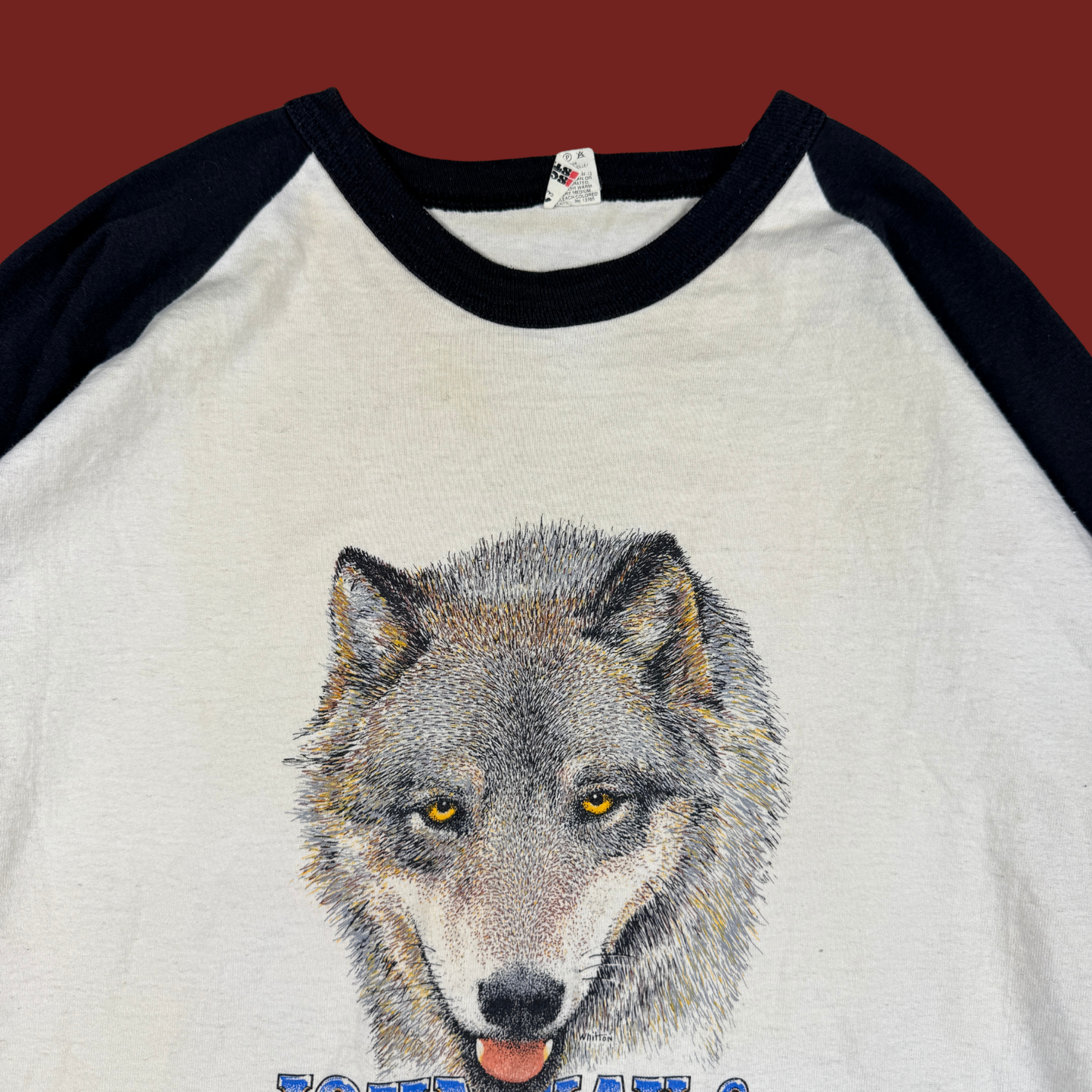 (L/XL) 80s John Kay & Steppenwolf Raglan Tee