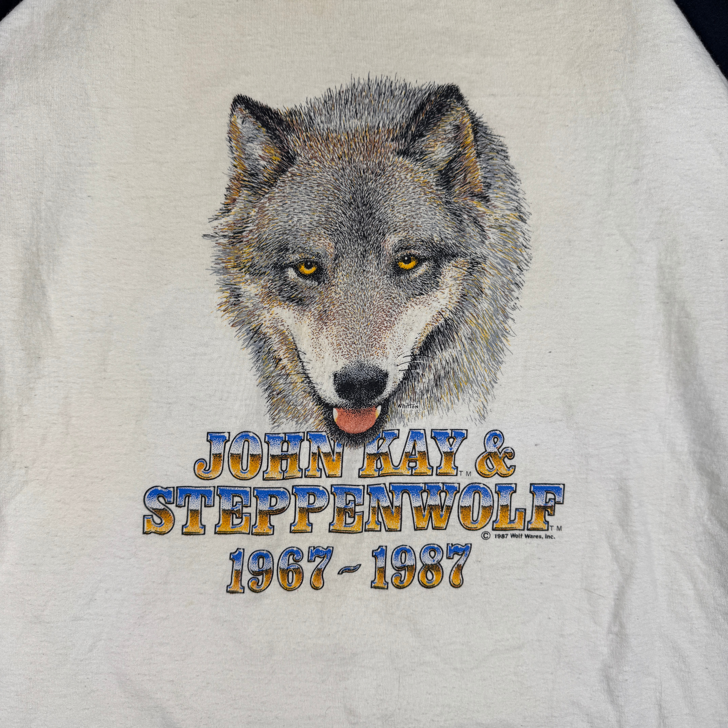 (L/XL) 80s John Kay & Steppenwolf Raglan Tee
