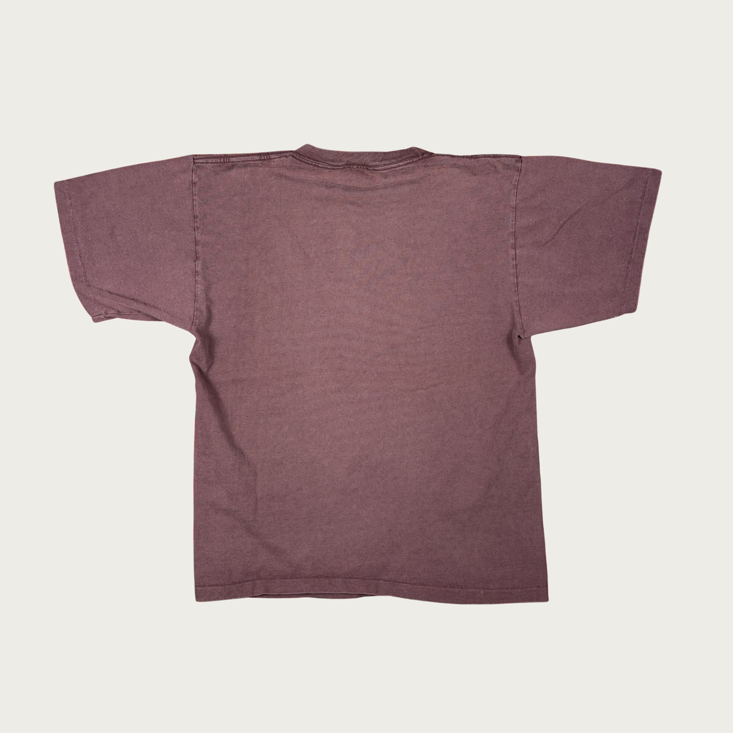 (M) Y2K "Don't Assume I Remember Your Name" Tee