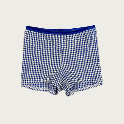 (S/M) 70s/80s Micro Mini Blue Gingham Shorts
